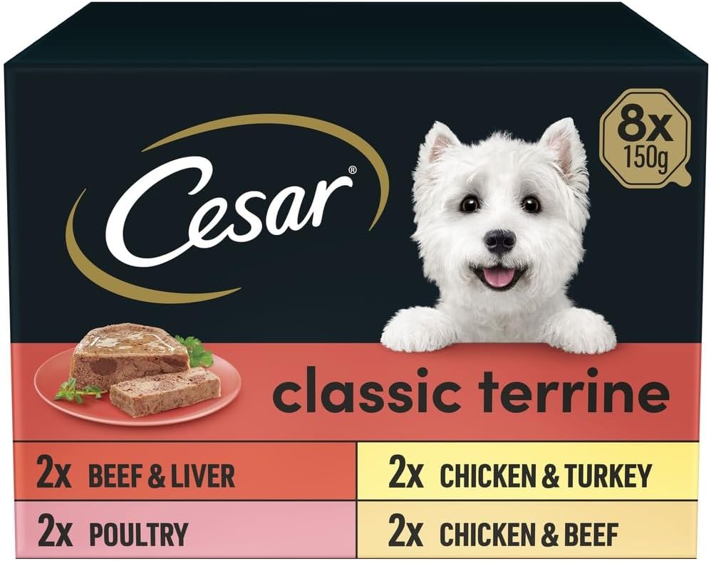 Cesar ClassicTerrine Dog Food Wet - Mixed Selection in Jelly, 8x150g (Pack of 3)