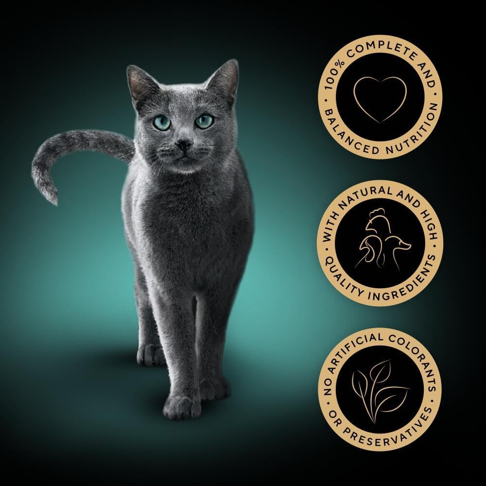 Sheba Fine Flakes in Jelly – Poultry Collection – Wet cat food pouches for adult cats – 40x85g pack