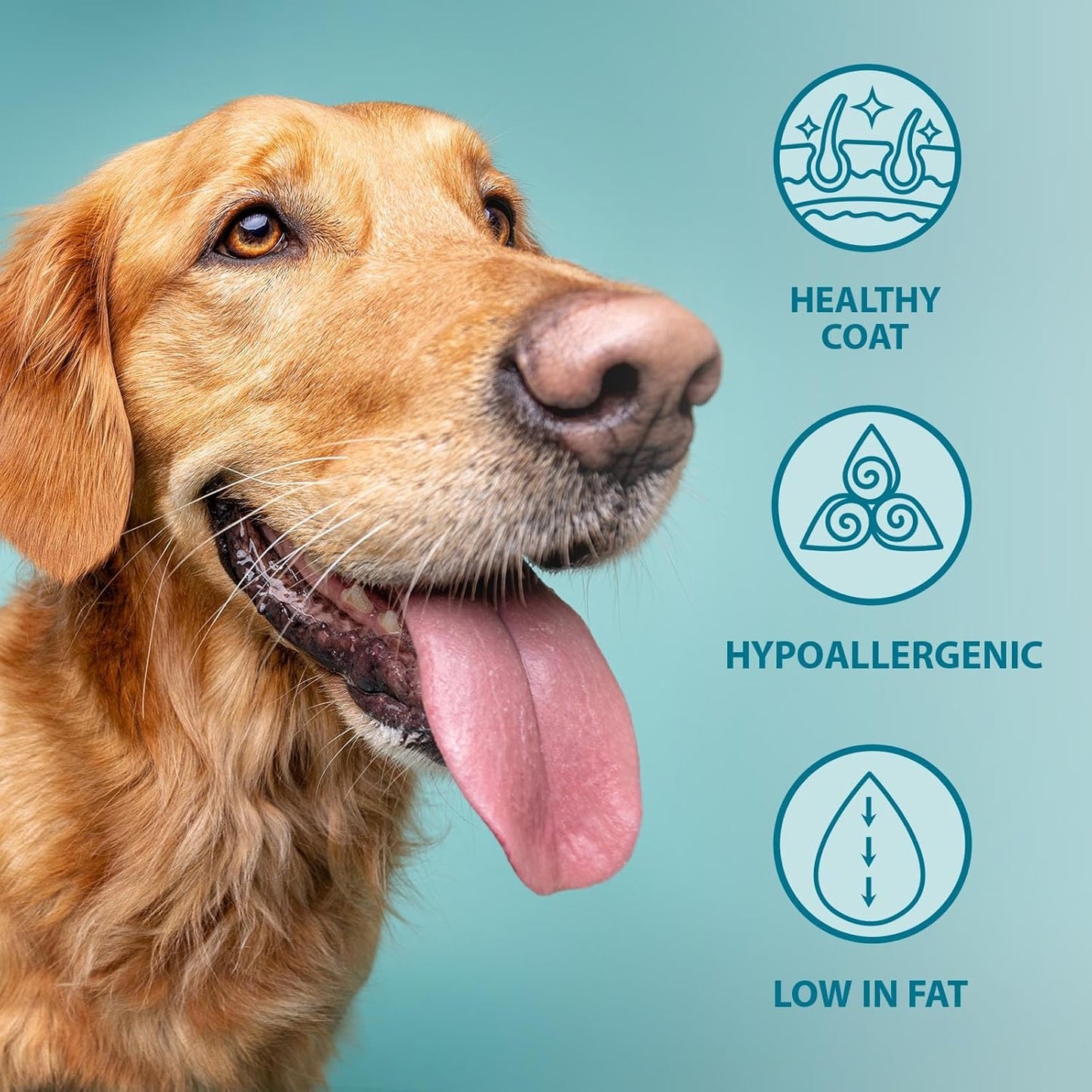 Burns Pet Nutrition Hypoallergenic Complete Dry Dog Food Adult and Senior Dog Original Chicken and Brown Rice 12 kg