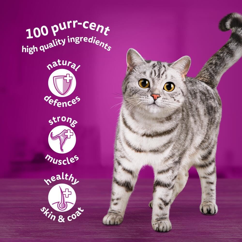 whiskas 1+ Adult Classic Selection in Gravy 84 Pouches, Adult Wet Cat Food, Megapack (84 x 85 g)
